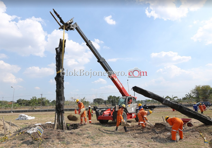 Untuk Penghijauan, EMCL Tanam Pohon Gayam